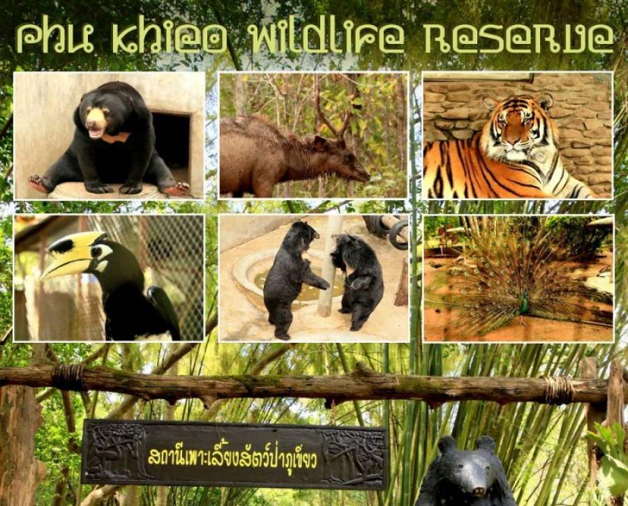 Phu-Khiao - Wildlife Reserve (Phu Khieo Wildlife Sanctuary)